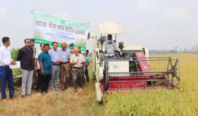 বাকৃবিতে বোরো বীজ ধান কর্তন শুরু
