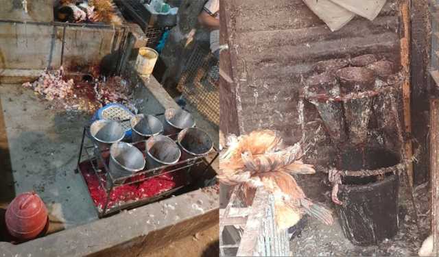 স্থানীয় বাজারে মুরগি জবাই ও বিক্রিতে অবহেলা, টাইফয়েডের ঝুঁকি