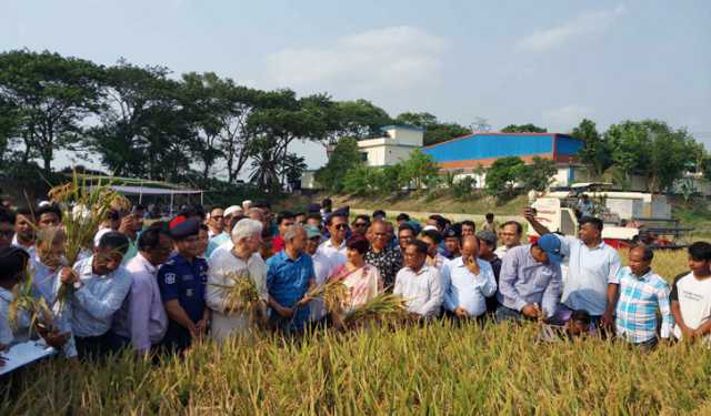 নির্ধারিত সময়ের মধ্যে বোরো ধান কাটা সম্পন্ন হবে: কৃষি উপদেষ্টা 