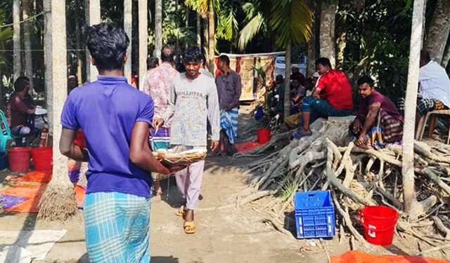 চাঁদপুরে জাটকা বিক্রির ধুম