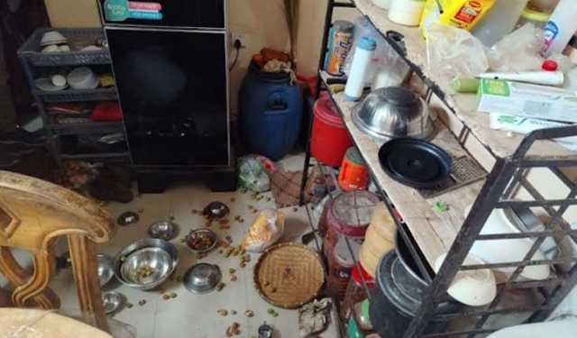 বিএনপি নেতার বাড়িতে হামলা-ভাঙচুর, আহত ১৩