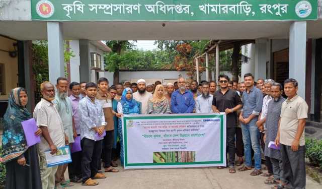 ‘এবার ধানের দাম ঠিক না থাকলে না খাইয়া মরতে হইবো’