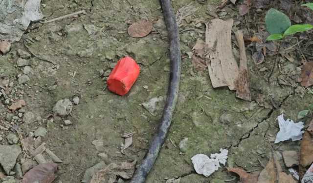 শরীয়তপুরে বিএনপি নেতার বাড়িতে বোমা নিক্ষেপ
