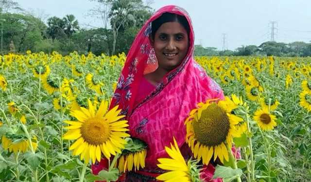সূর্যমূখীর হাসিতে হাসছে কৃষক