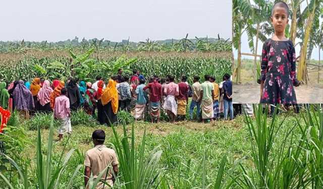 ভুট্টা ক্ষেতে শিশুর মরদেহ, পরিবারের দাবি হত্যা