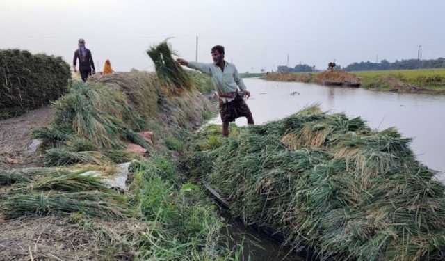 কলকারখানার দূষিত পানিতে ফসল নষ্টের শঙ্কা