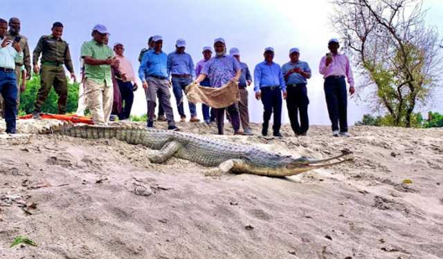 রাজশাহীতে দেশের প্রথম ঘড়িয়াল প্রজনন কেন্দ্র