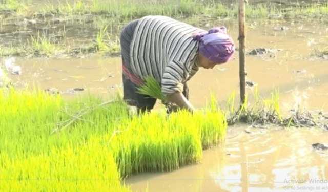 জীবনযুদ্ধে এগিয়ে চলেছেন পাহাড়ের নারীরা