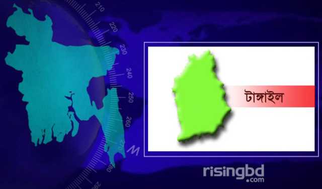 টাঙ্গাইলে গাড়ি চাপায় স্বামী-স্ত্রী নিহত, আহত ছেলে
