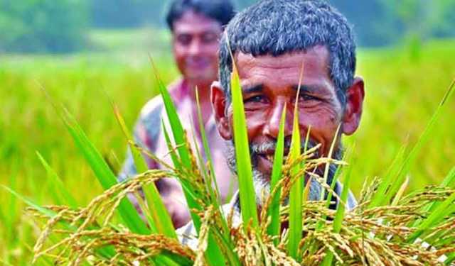 কৃষি ঋণ বিতরণের আগে সিআইবি রিপোর্ট যাচাইয়ের নির্দেশ