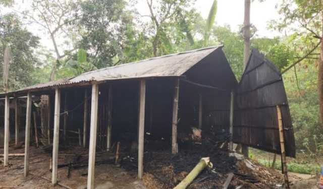 কয়েলের আগুনে পুড়ল ৫ গরু, কৃষক দগ্ধ
