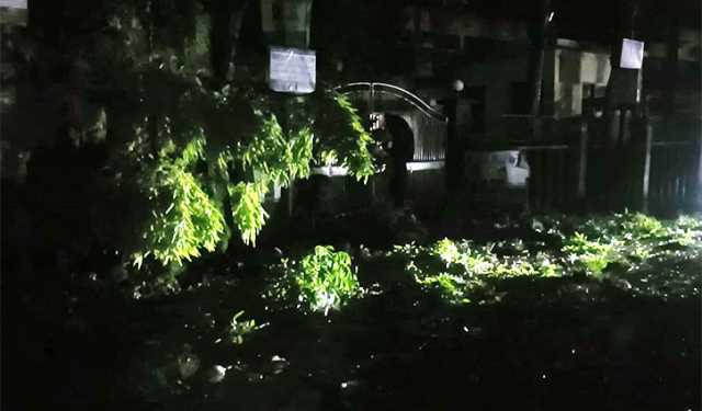 কুড়িগ্রামে কালবৈশাখীর তাণ্ডব