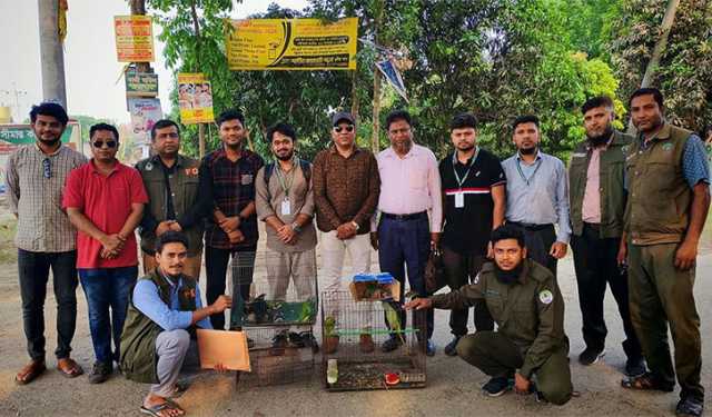 কুষ্টিয়ার পোড়াদহে যৌথ অভিযানে খাঁচাবন্দি ১৪টি দেশি পাখি উদ্ধার