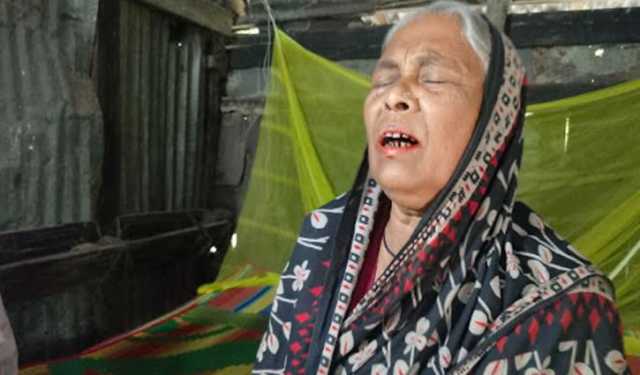 ছেলের পর নাতীকে হারিয়ে পাগলপ্রায় রাবেয়া বেগম