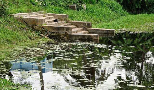 নাটোরে পুকুরে মিলল ৬ আগ্নেয়াস্ত্র