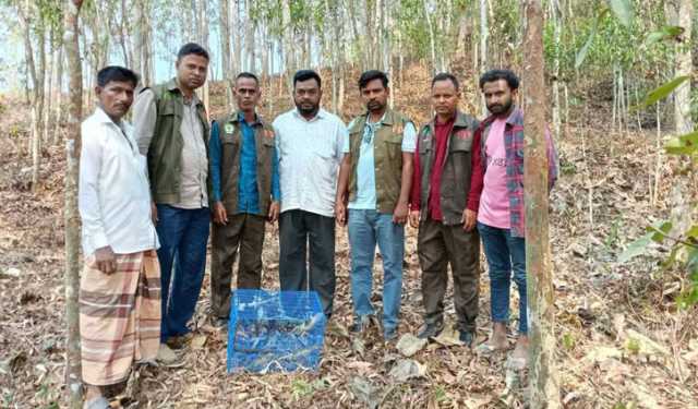 চট্টগ্রামে ১১ তক্ষক অবমুক্ত, পাচারকারী আটক