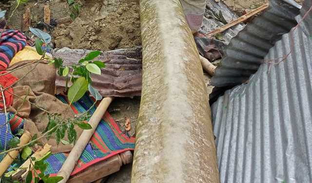 ফুলবাড়ীতে কালবৈশাখী: গাছ উপড়ে ঘরে চাপা পড়ে একজনের মৃত্যু 