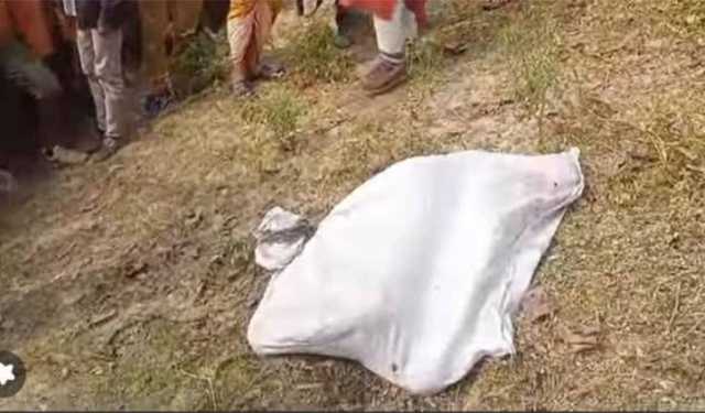 নরসিংদীতে যুবকের বস্তাবন্দি মরদেহ উদ্ধার