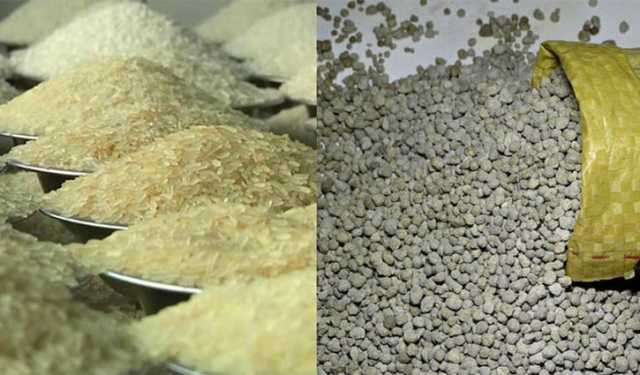 ভিয়েতনাম-মরক্কো থেকে চাল ও সার কেনার প্রস্তাব অনুমোদন