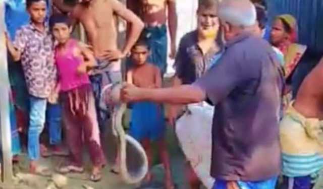 কুড়িগ্রামে সাপের কামড়ে সাপুড়ের মৃত্যু