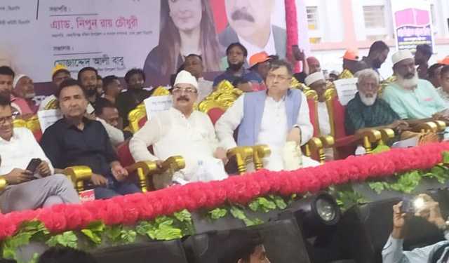 দেশে এখন রাজনৈতিক দলের অভাব নেই: সালাহউদ্দিন আহমদ