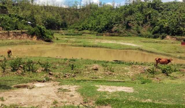 বান্দরবান পলিটেকনিক প্রকল্পে অনিশ্চয়তা