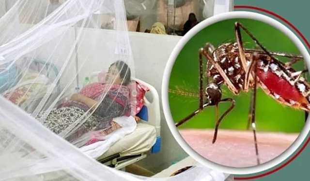 ডেঙ্গুর হটস্পট বরিশাল বিভাগ