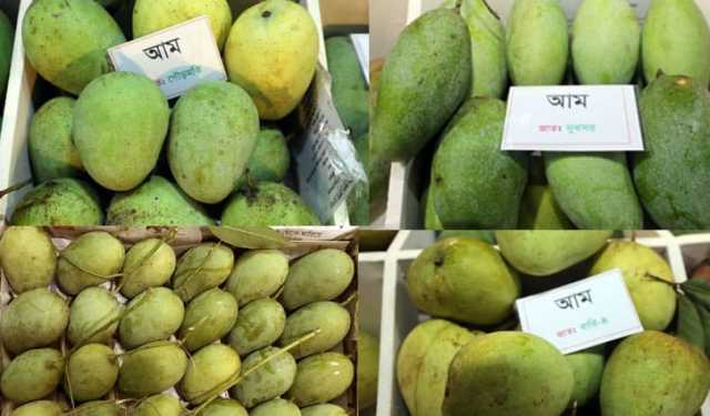 আম রপ্তানিতে নতুন সম্ভাবনা 