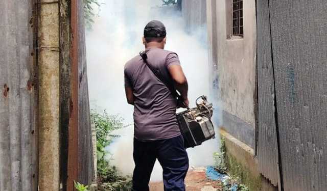 কালীগঞ্জ পৌর শহর যেন মশার স্বর্গরাজ্য