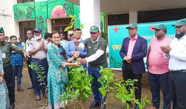 একটি গাছ কাটলে ১০টি গাছ লাগান: নোবিপ্রবি উপাচার্য