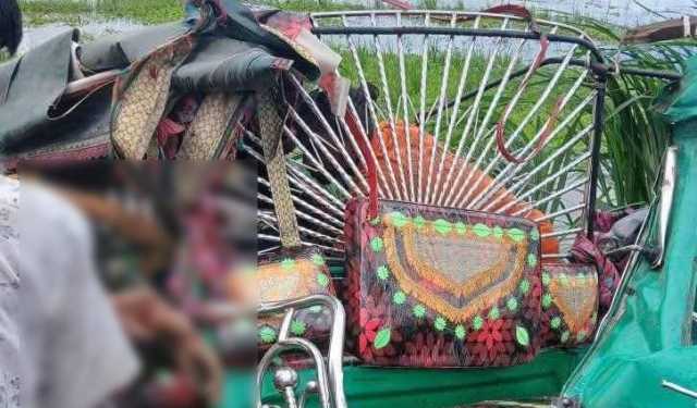 টাঙ্গাইলের সড়কে ঝরল ৩ প্রাণ