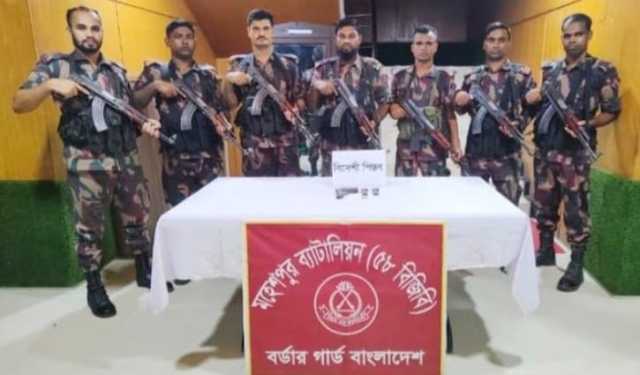 ঝিনাইদহ সীমান্তে বিজিবির অভিযানে বিদেশি পিস্তল-গুলি জব্দ