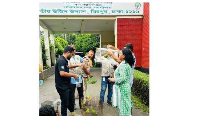 বন বিভাগের অভিযান: মিরপুরে ৫০টি বন্যপ্রাণী উদ্ধার
