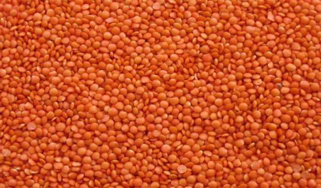 ৭ হাজার টন মসুর ডাল কিনবে টিসিবি