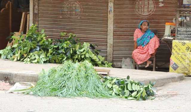 রাজধানীর অলিগলিতে পশুখাদ্য ও কোরবানির সরঞ্জামের পসরা