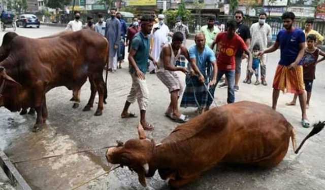 রাজধানীর অলিগলির রাস্তায় পশু কোরবানি