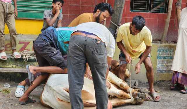 ঈদের পরের দিনেও রাজধানীতে পশু কোরবানি