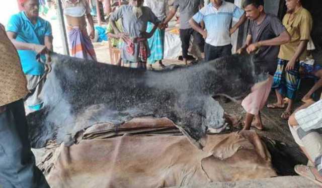 ট্যানারি মালিকদের অপেক্ষায় নাটোরের চামড়া ব্যবসায়ীরা