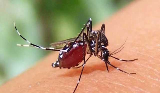 চট্টগ্রামে ৯ জন করোনা আক্রান্ত