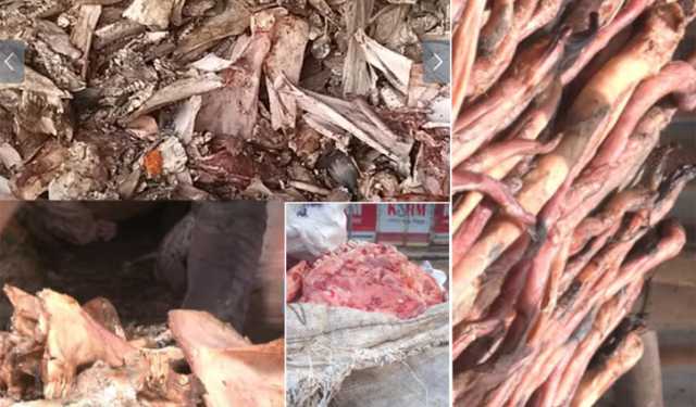 ফেলে দেওয়া পশুর হাড়-শিংয়ে শত কোটি টাকার রপ্তানি বাণিজ্য