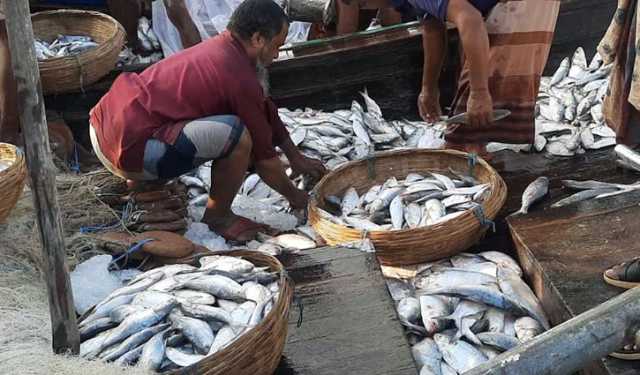 সরগরম বাগেরহাটের মাছবাজার