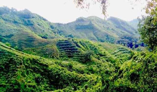 টেকনাফের পাহাড়ি সড়ক থেকে ৫ জনকে অপহরণ