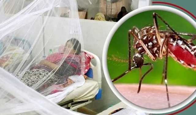 একদিনে ডেঙ্গুতে আক্রান্ত ৯৭ জনের মধ্যে ৭৪ জনই বরগুনার