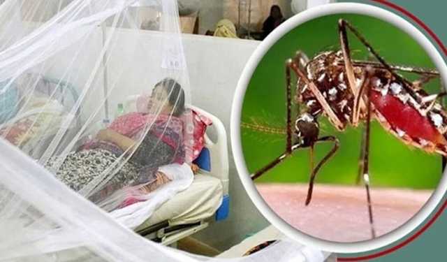 বরিশাল বিভাগে চোখ রাঙাচ্ছে ডেঙ্গু