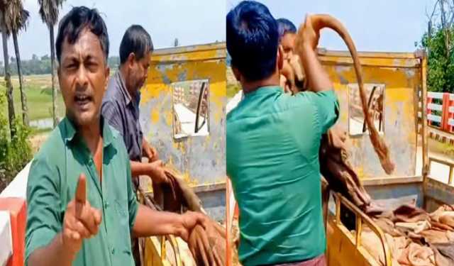 চামড়া বিক্রি করতে না পেরে নদীতে ফেলে ক্ষোভ, ব্যবসায়ী আটক