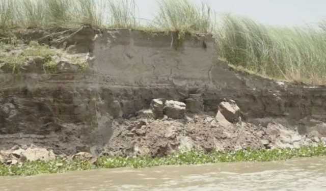 ভেরামারার পদ্মায় তীব্র ভাঙন, হুমকিতে বাঁধ