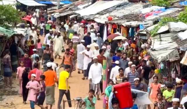 রোহিঙ্গারা নিজ দেশে ফিরে যেতে চায় 
