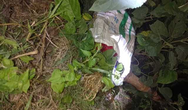 সাতক্ষীরায় ৩০ ককটেল সদৃশ বস্তু উদ্ধার