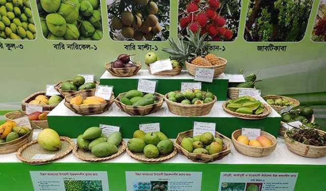 ফল মেলা শুরু বৃহস্পতিবার 