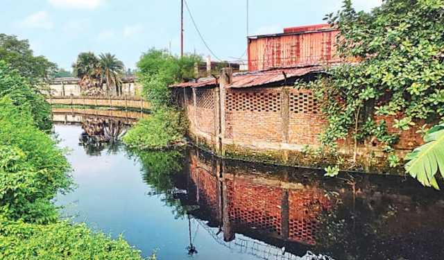 এক্স সিরামিকস বিতর্ক: সবুজ স্বীকৃতির আড়ালে বিষাক্ত থাবা